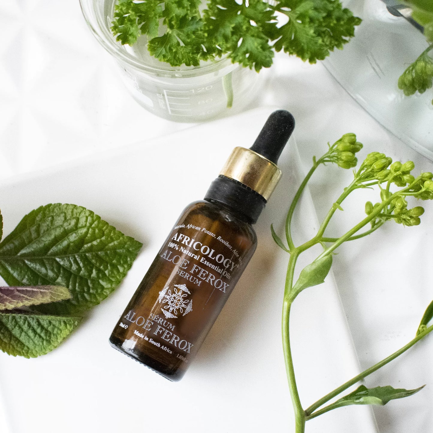 Aloe Ferox Serum