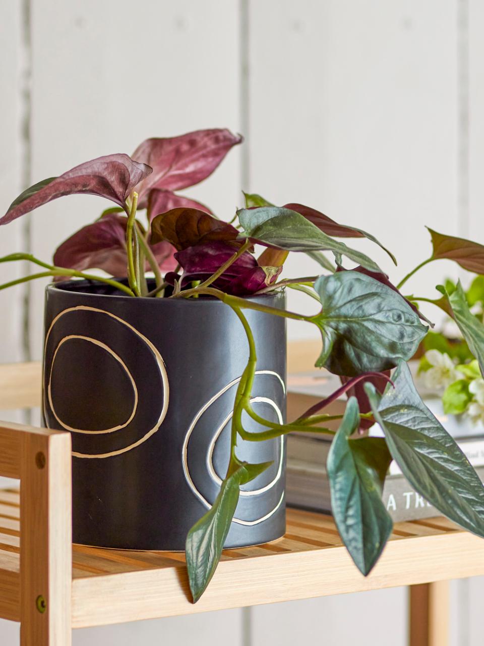 Troy Flowerpot, Black, Stoneware