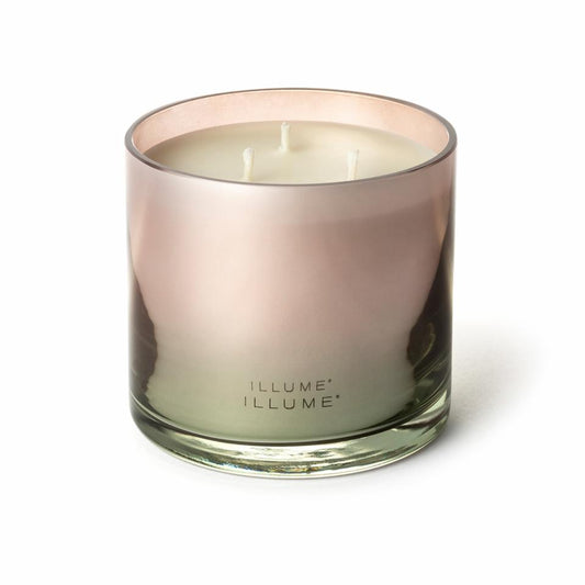 Coconut Milk Mango Statement  Glass Candle, Rose